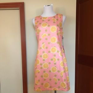 Dear Creatures Pink Lemonade Dress Medium